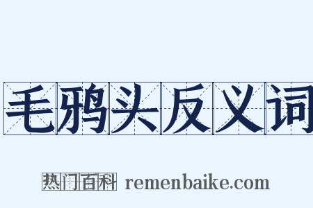 毛鸦头反义词是什么意思的图片